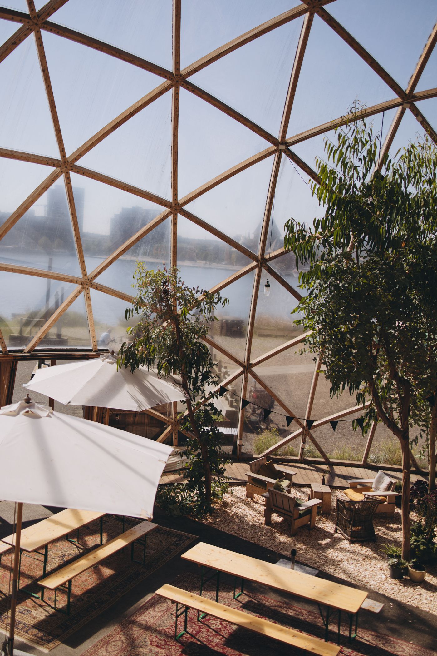 Interior of a large geodesic dome with trees and seating